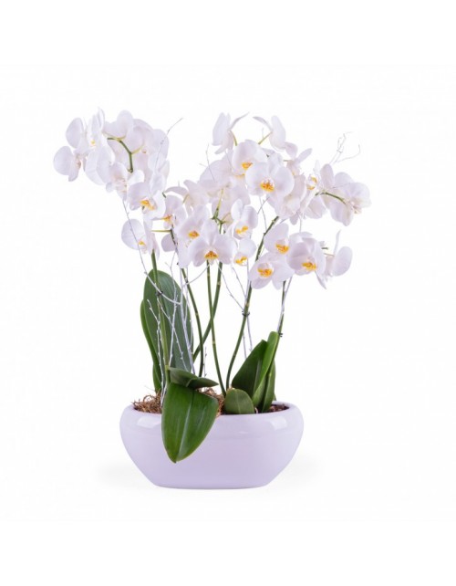 Centro con orquídeas blancas